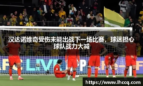 汉达诺维奇受伤未能出战下一场比赛，球迷担心球队战力大减